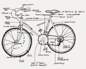 Bike Anatomy Diagram